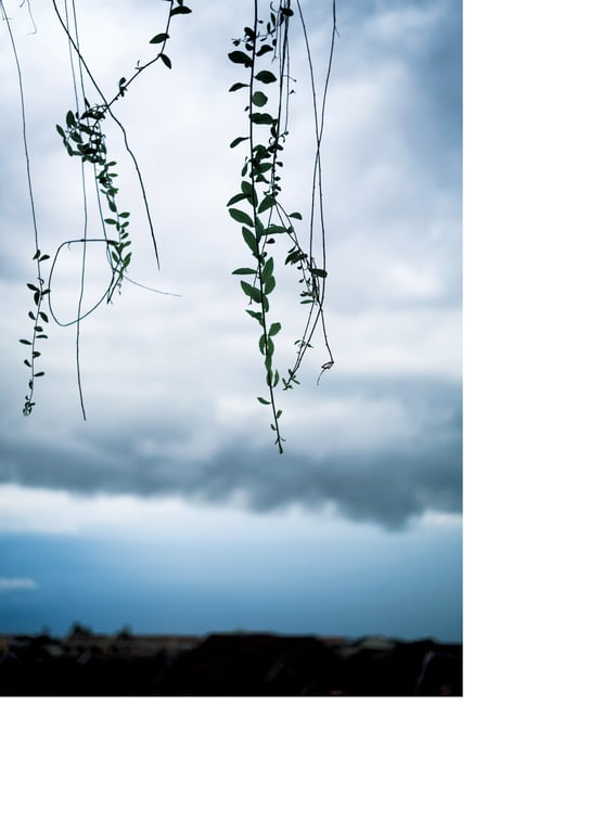 图片[104]-#白间美瑠写真集 MERCI - 全本免费在线观看-阅图吧