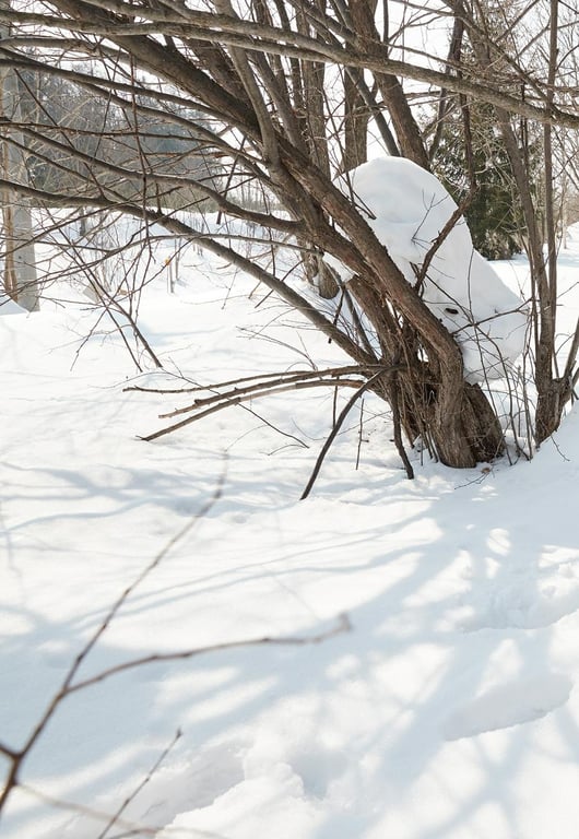 图片[5]-#一見倾心 峮峮个人写真书 数位精华版 (2019-08-02) - 全本免费在线观看-阅图吧