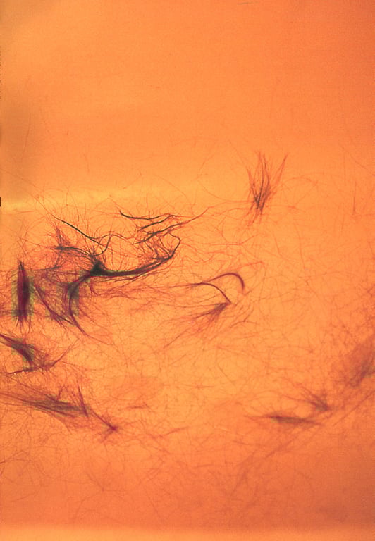 图片[74]-#伊藤瞳 – 15歳 - 全本免费在线观看-阅图吧