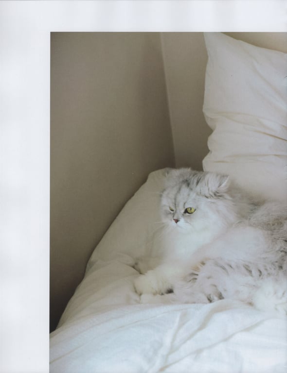 图片[111]-#乃木坂46 山下美月1st写真集「忘不了的人」 - 全本免费在线观看-阅图吧