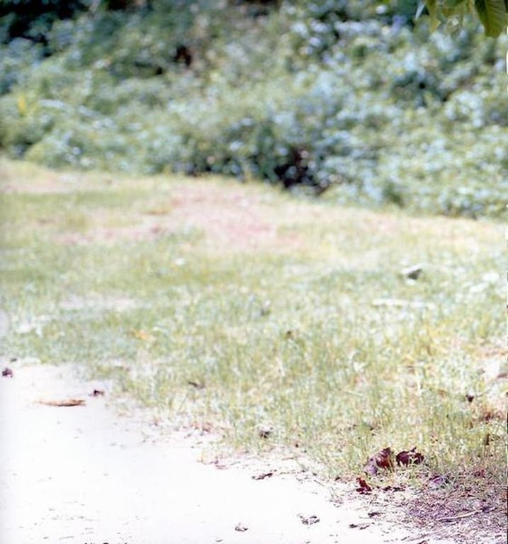 图片[91]-#Rina Koike 小池里奈 1st Photobook – Tenshin Ranman 天真烂漫 (2006-01-23) - 全本免费在线观看-阅图吧