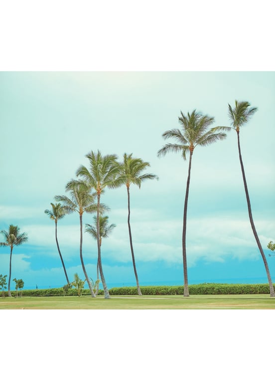 图片[3]-2019.08 TWICE POPUP STORE “Twaii's Shop” Twaii's Book - 在线免费观看-阅图吧