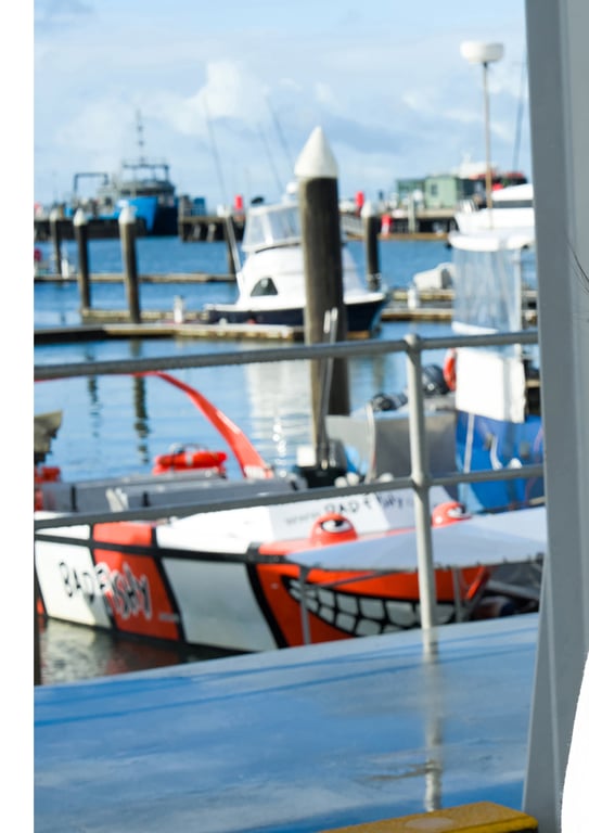 图片[138]-【電子版だけの特典カットつき】葉月くれあ 1st写真集 clarus - 在线免费观看-阅图吧