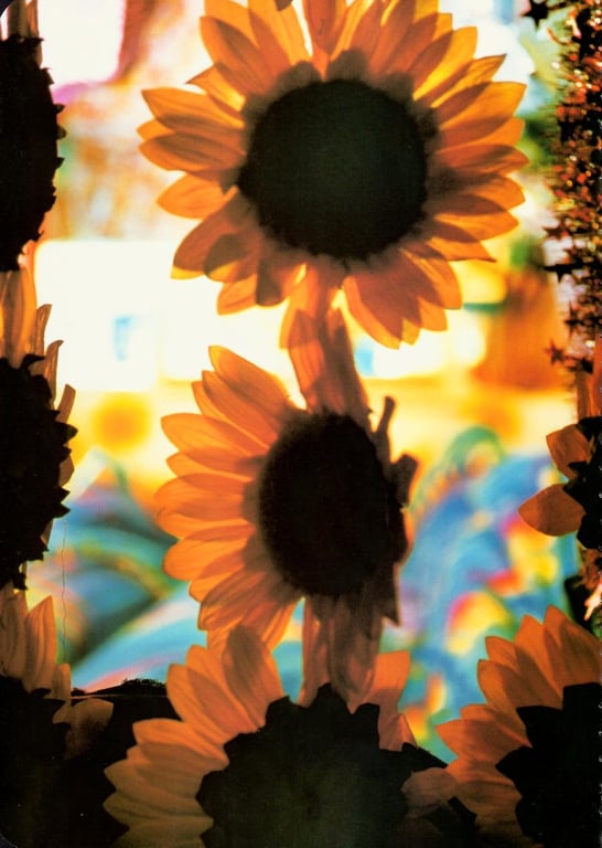 图片[64]-#(月刊シリーズ 043) – 月刊043 遠藤久美子 - 全本免费在线观看-阅图吧