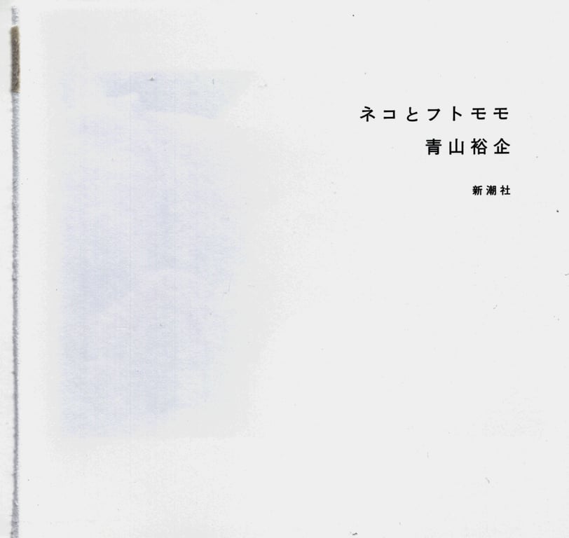 图片[34]-#青山裕企 Photobook 26sets\【青山裕企】猫与大腿 - 全本免费在线观看-阅图吧