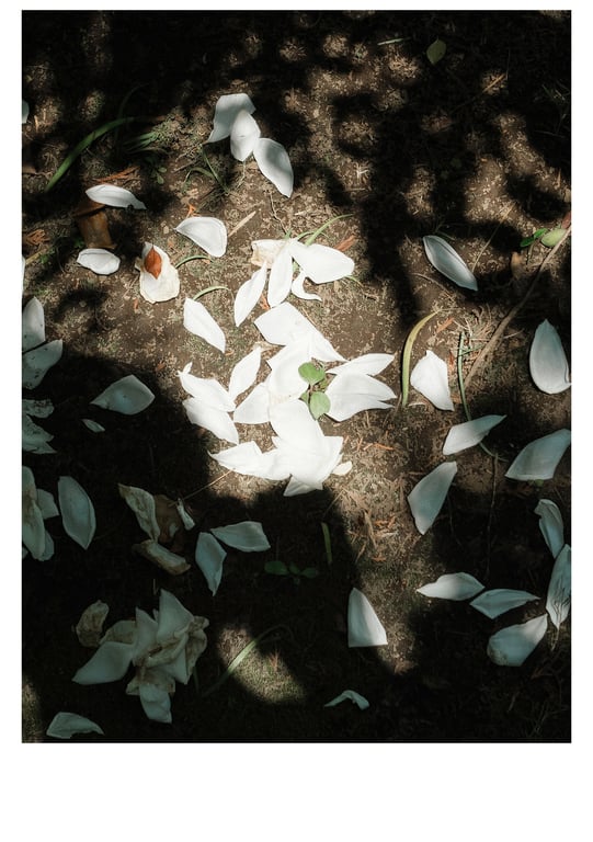 图片[36]-#石川澪《被夺走》 - 全本免费在线观看-阅图吧