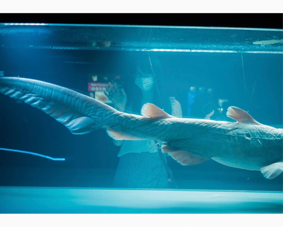 图片[128]-うたたね翠と一泊二日の沖縄旅行へ行ってきました (wunder publishing house) - 在线免费观看-阅图吧