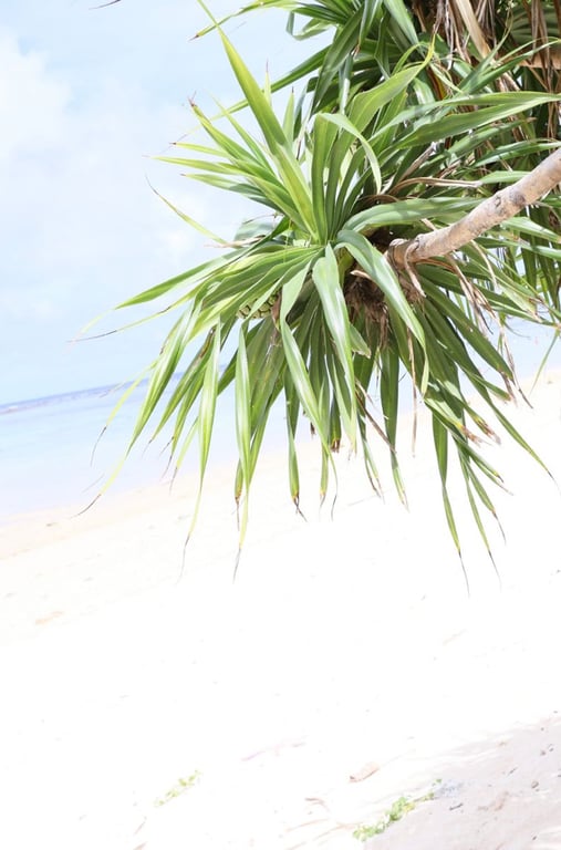 图片[16]-#Ayaka Okada – AYAFULL - 全本免费在线观看-阅图吧