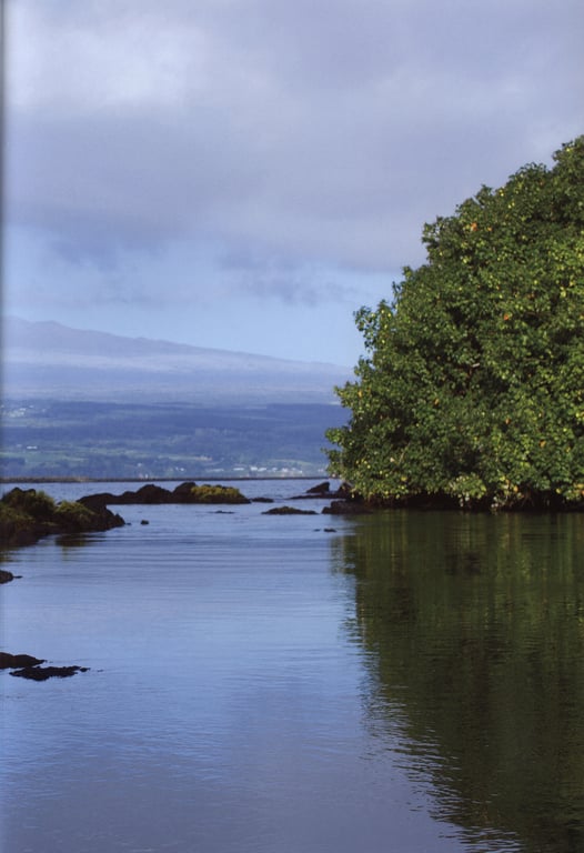 图片[8]-℃-ute 矢岛舞美写真集 『PURE EYES』 - 在线免费观看-阅图吧