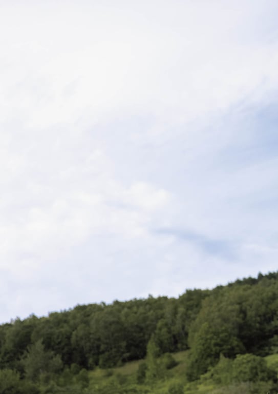 图片[22]-#Saika Kawakita 河北彩花 – Love letter (2023-02-14) - 全本免费在线观看-阅图吧