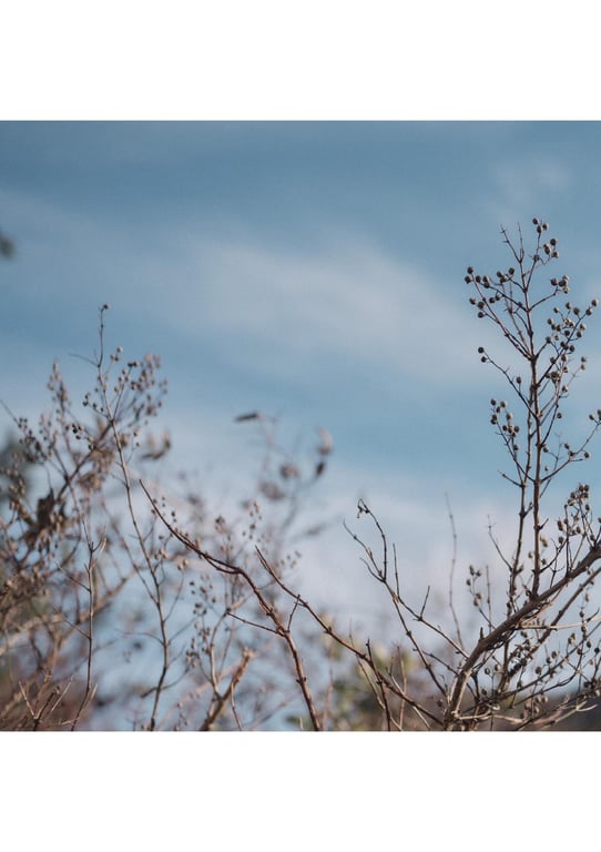 图片[170]-#白肌姫 【大河桃温泉写真集】 (Wunder_Publishing_House.) - 全本免费在线观看-阅图吧