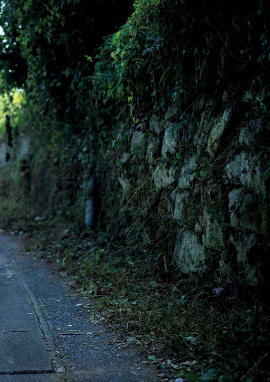 #Mari Okamoto 冈本真理 – Hourglass 砂时计 (2014-12-10) - 全本免费在线观看-阅图吧