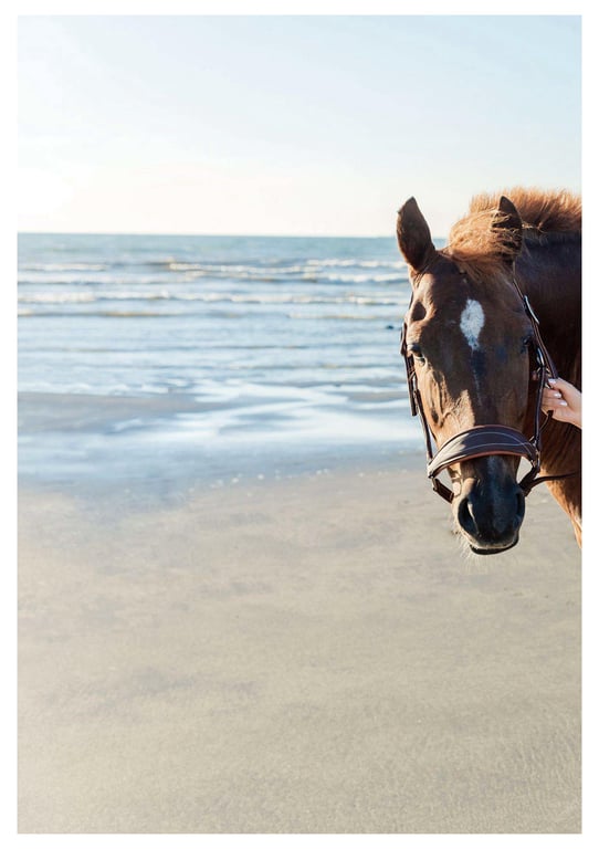 图片[118]-#與你襄遇 林襄數位寫真(2021-05-03) - 全本免费在线观看-阅图吧