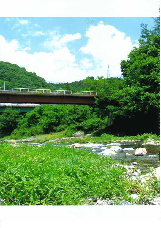 图片[74]-#Rina Akiyama 秋山莉奈 – Rina - 全本免费在线观看-阅图吧