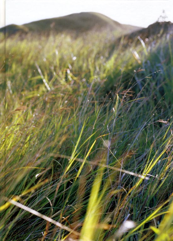 图片[75]-#Maimi Yajima – SOUSOLA\矢岛舞美 写真集 『爽・空（爽空）』 - 全本免费在线观看-阅图吧
