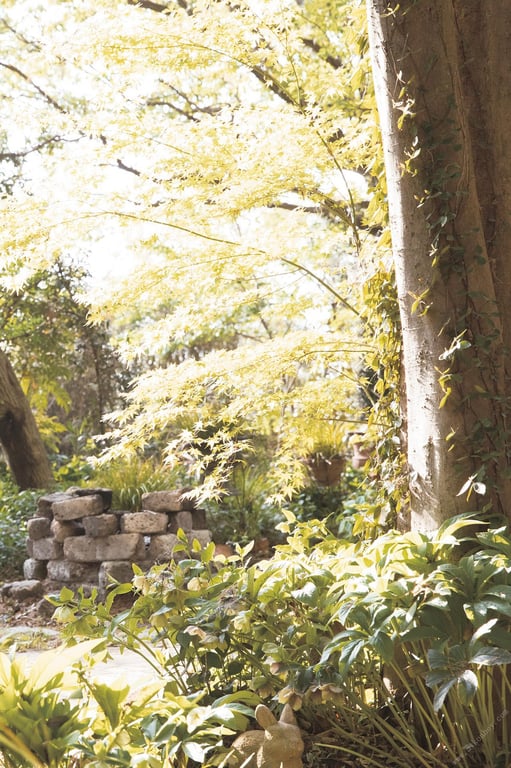 图片[67]-#仲村美海 Fairy 週刊Post数字写真集 - 全本免费在线观看-阅图吧