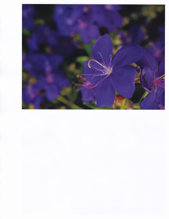 图片[76]-#白間美瑠 ファースト写真集 LOVE RUSH - 全本免费在线观看-阅图吧