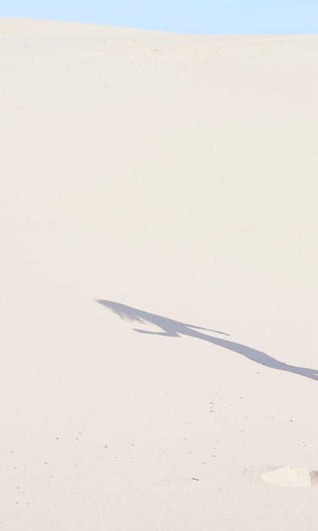 图片[73]-WPB 小宫有纱数字写真集～特装合本版～ 週プレ PHOTO BOOK (2019-03-25) - 在线免费观看-阅图吧