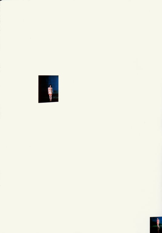 图片[29]-#(月刊シリーズ 050) – 月刊050 奥菜惠 SP - 全本免费在线观看-阅图吧