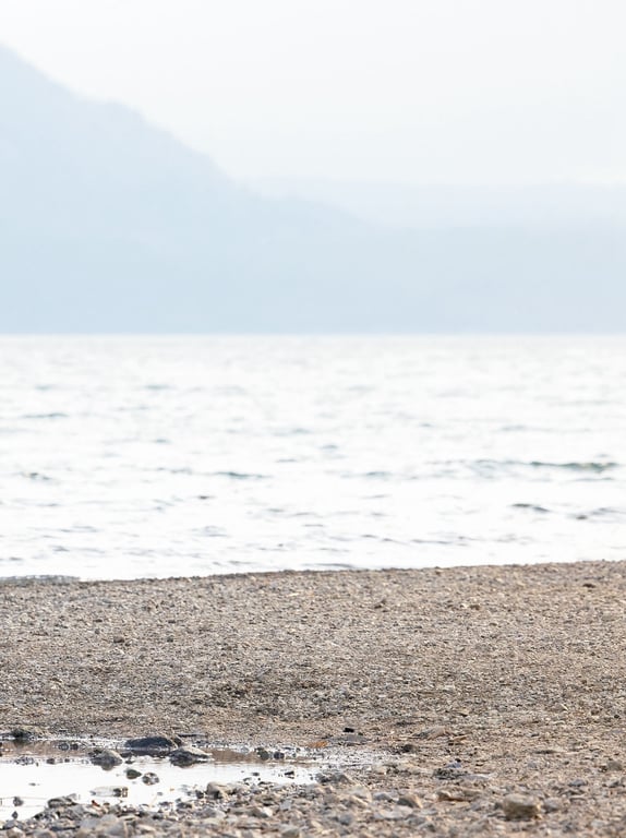 图片[98]-#新藤まなみ写真集『Ｑｕｅｅｎｓ』 - 全本免费在线观看-阅图吧