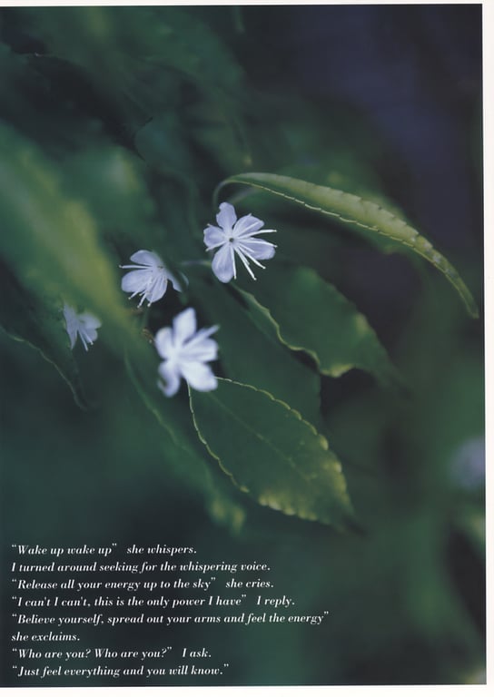 图片[59]-#仲根霞 – sabra別冊 -Quietdays- 安静的日子 (2005.08.28) - 全本免费在线观看-阅图吧