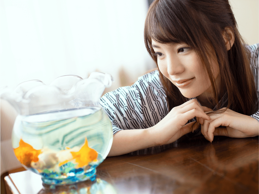 图片[19]-#浴衣ヌードBEST 鈴村あいり 涼森れむ 河合あすな 野々浦暖 他 - 全本免费在线观看-阅图吧