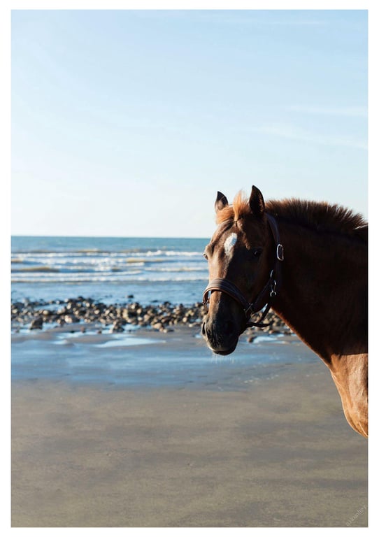 图片[128]-#與你襄遇 林襄數位寫真(2021-05-03) - 全本免费在线观看-阅图吧