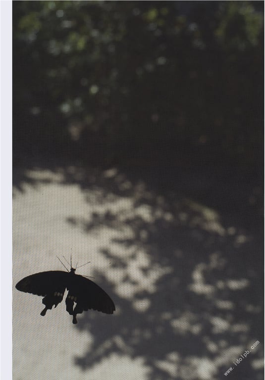 图片[33]-#川島海荷 写真集 青之走廊 - 全本免费在线观看-阅图吧