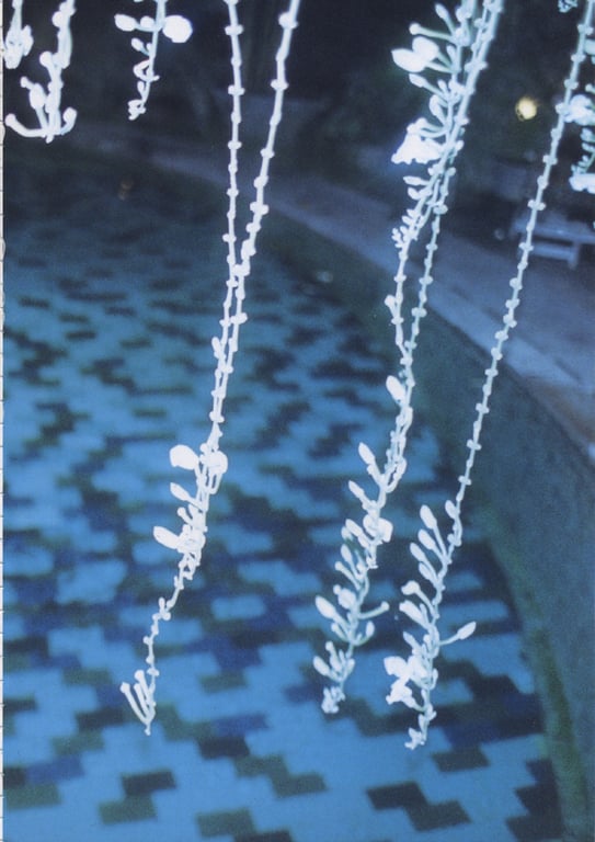 图片[39]-#釈由美子 – CHAOS - 全本免费在线观看-阅图吧