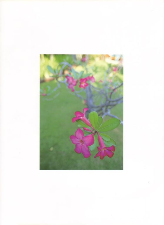 图片[17]-#Sayaka Isoyama 磯山沙也加 – Only You (2002-11) - 全本免费在线观看-阅图吧