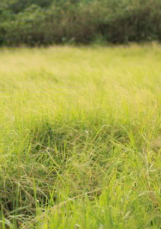 图片[2]-#三上悠亚 1st写真集 「Here you are」 - 全本免费在线观看-阅图吧