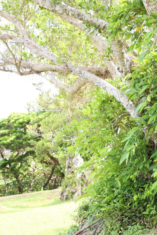 图片[36]-#Miyabi Iino – icon - 全本免费在线观看-阅图吧