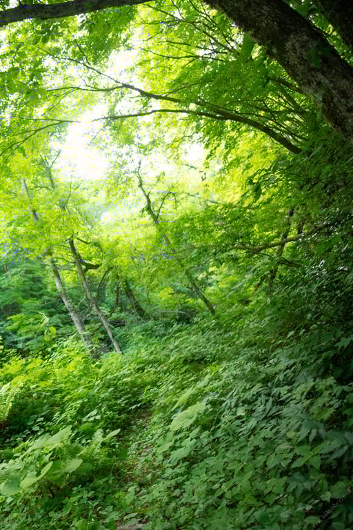 图片[109]-#Asuna Kawai 河合明日奈 – 时间的点滴～与你共度的那座岛上～ (2022-10-14) - 全本免费在线观看-阅图吧