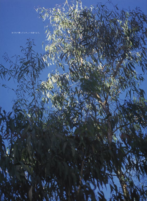 图片[31]-#相楽のり子 写真集 on／off - 全本免费在线观看-阅图吧