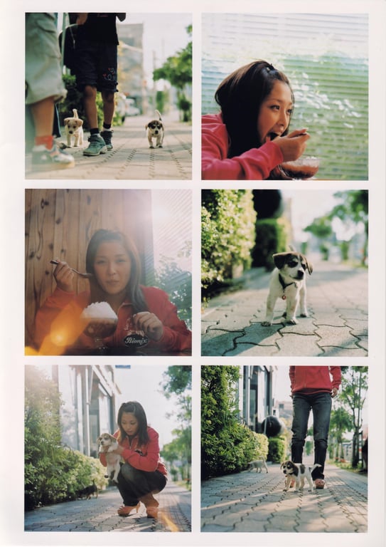 图片[44]-#石川梨华 – 華美 hana-bi (見開付) - 全本免费在线观看-阅图吧