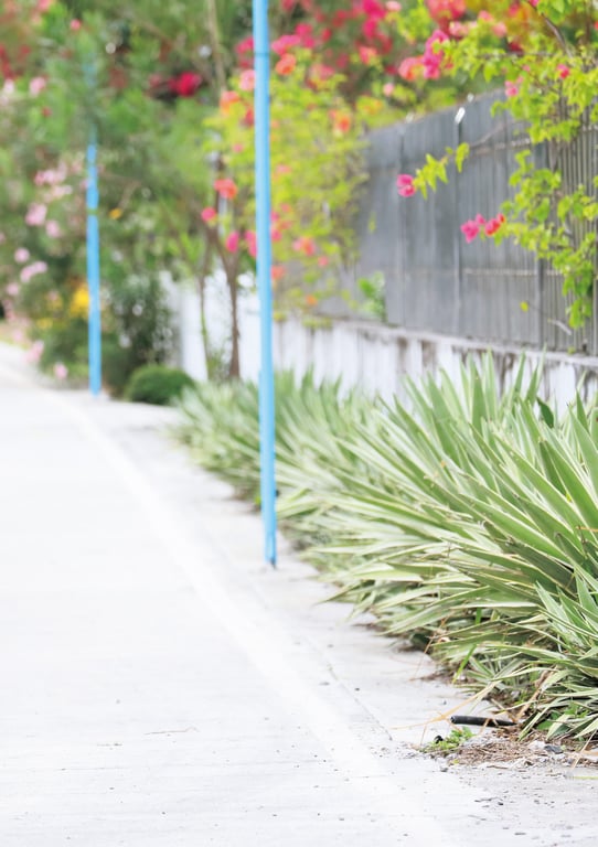 Kisumi Amau 天羽希纯 - A...？ (2020-04-21)-阅图吧