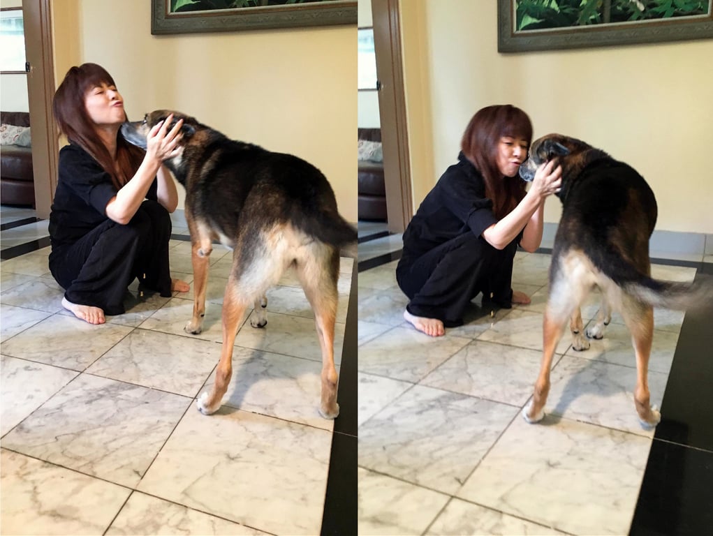 图片[12]-#週刊Post Digital写真集 大场久美子 在关岛穿上了比基尼 Memories of 2015 - 全本免费在线观看-阅图吧