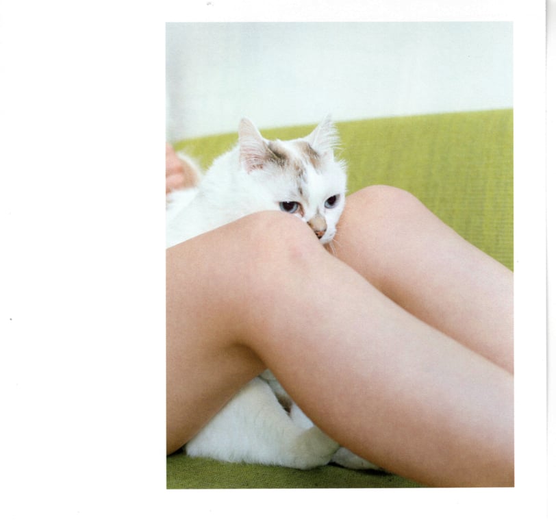 图片[8]-#青山裕企 Photobook 26sets\【青山裕企】猫与大腿 - 全本免费在线观看-阅图吧