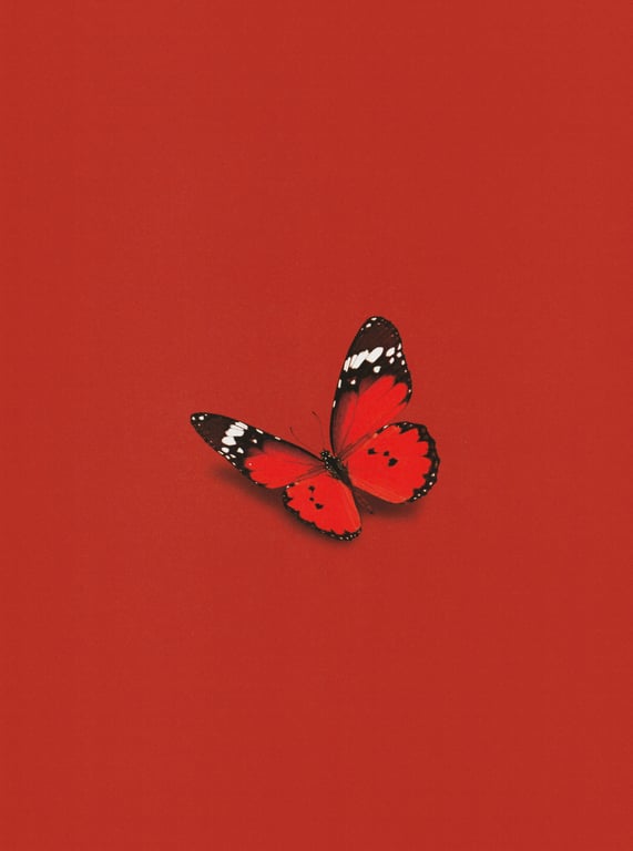 图片[27]-#Sakura Miyawaki 宫胁咲良 Graduation Visual Booklet - 全本免费在线观看-阅图吧