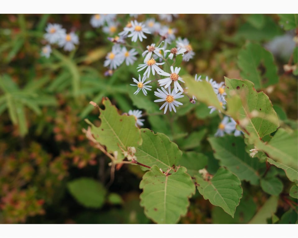 图片[36]-#ときめき。かれしちゃん e-book (wunder publishing house) - 全本免费在线观看-阅图吧