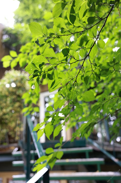 图片[32]-#Ran Kamiki 神木兰 – AI LOVE DOLL (2022-07-22) - 全本免费在线观看-阅图吧