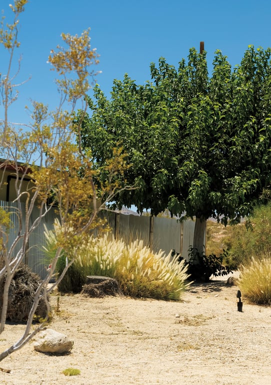 图片[10]-#Minami Yamada 山田南实 First Photobook Minamito (2019.12.12) - 全本免费在线观看-阅图吧