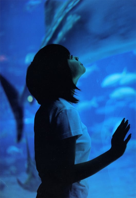 图片[95]-#松浦亚弥 – 真是！楚楚动人 - 全本免费在线观看-阅图吧