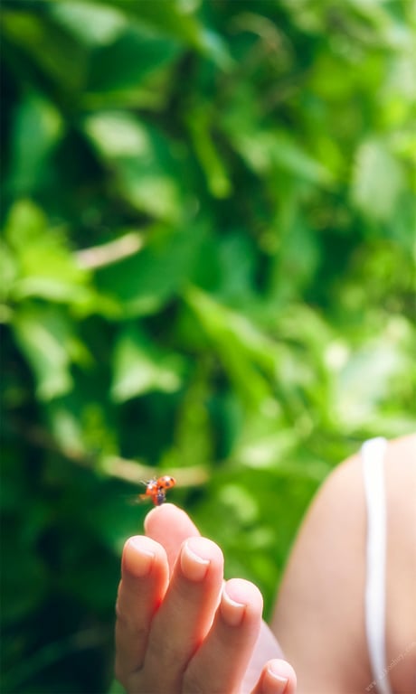 图片[50]-#【数字限定】工藤美樱写真集「夏之扉」 週プレ PHOTO BOOK - 全本免费在线观看-阅图吧