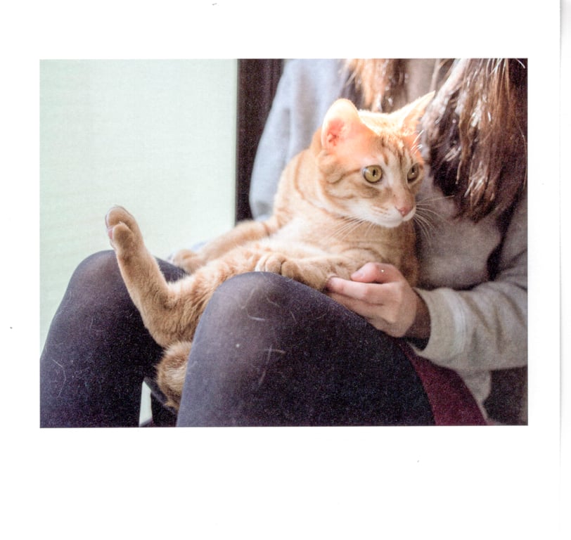 图片[30]-#青山裕企 Photobook 26sets\【青山裕企】猫与大腿 - 全本免费在线观看-阅图吧