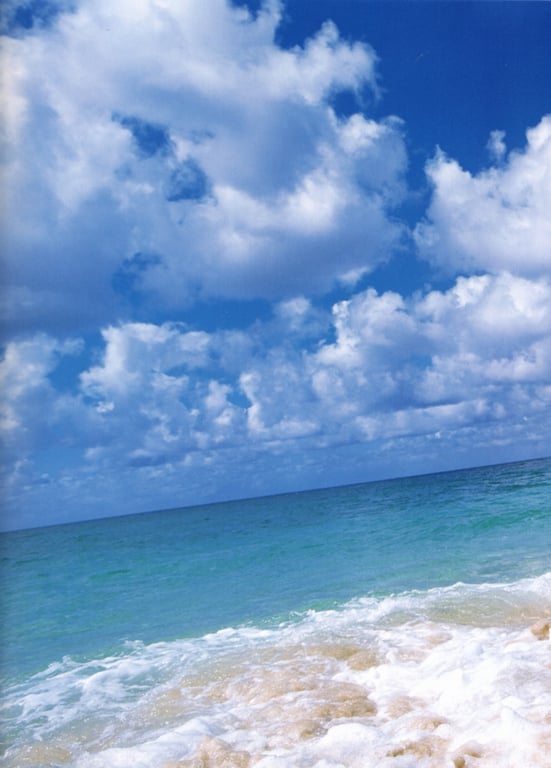 图片[8]-#小野真由美 – CHEER！ - 全本免费在线观看-阅图吧