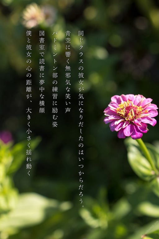 图片[3]-#青春#アオハル 白桃はな【ヌード写真集】 - 全本免费在线观看-阅图吧