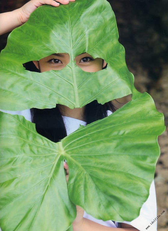 图片[30]-#紗綾 写真集 Virginal Saaya (Virginal Saaya) (Photobook+DVD付き) - 全本免费在线观看-阅图吧