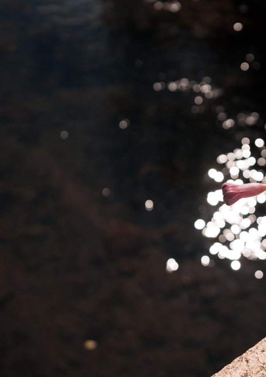 图片[55]-#極致 裸体写真集 (Wunder_Publishing_House.) - 全本免费在线观看-阅图吧