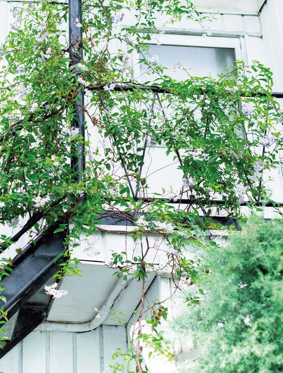 图片[7]-#Jessica Kizaki 希崎杰西卡 LAST Photobook – Thank you very much 非常感谢杰西卡。 (2019-09-14) - 全本免费在线观看-阅图吧